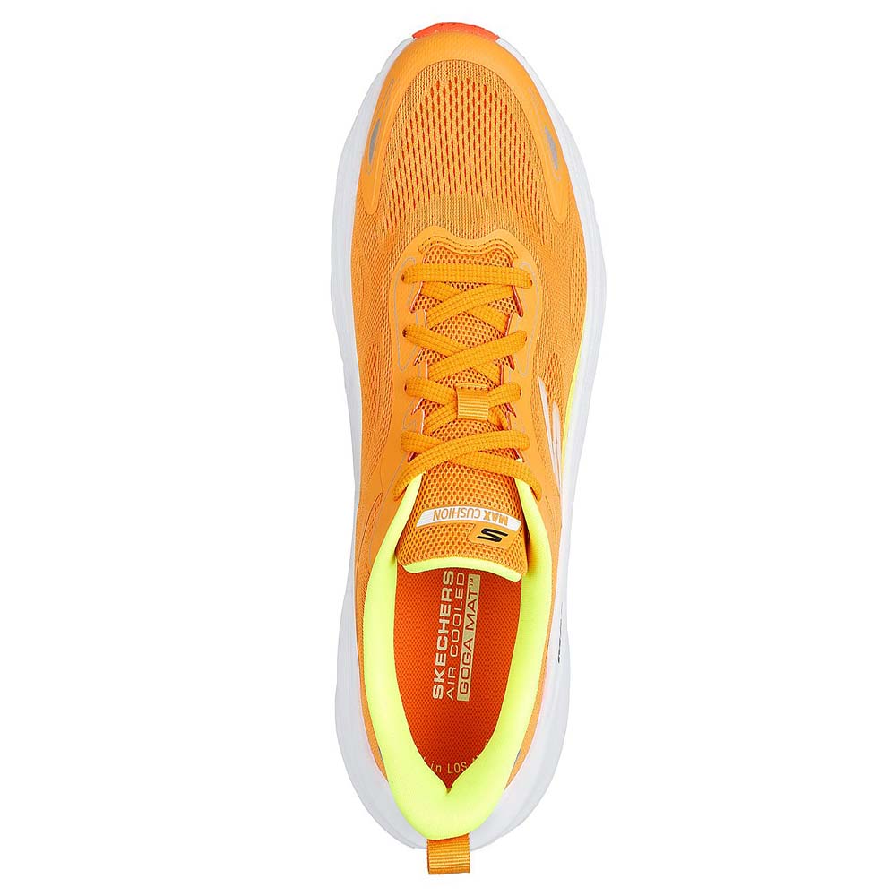 Performance Max Run - Pacewave